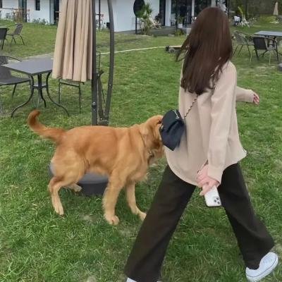 双喜剧情剧照